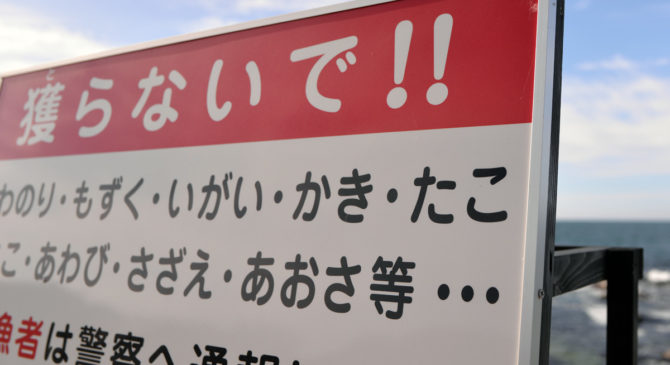 黄葉、揺らめく凪と漁業権と 黄葉、揺らめく凪と漁業権と