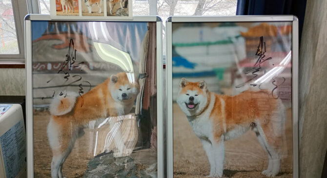 食塩泉の翻弄